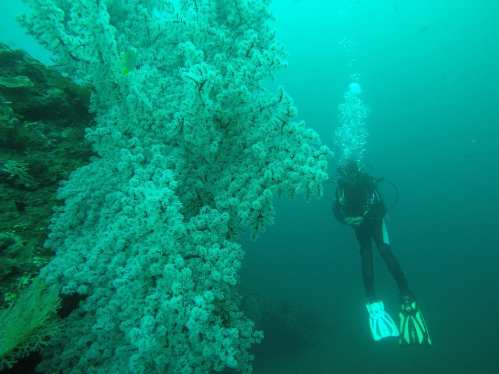 Ocean View Tulamben Dive & Resort 외부 사진